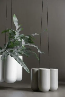 DBKD More Hangende Bloempot Shiny Mole, Klein -Meubel Serie Winkel dbkd more hangende bloempot shiny mole 5 scaled