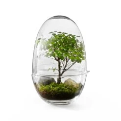 Design House Stockholm Grow Greenhouse S, Clear -Meubel Serie Winkel design house stockholm grow greenhouse 17