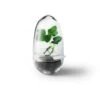 Design House Stockholm Grow Greenhouse S, Clear
