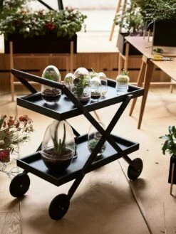 Design House Stockholm Grow Greenhouse S, Clear -Meubel Serie Winkel design house stockholm grow greenhouse 21