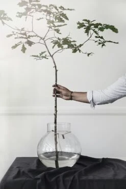 Ernst Glazen Vaas Doorzichtig, 38 Cm -Meubel Serie Winkel ernst glass vase clear 13