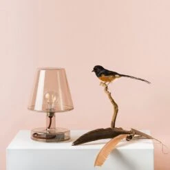 Fatboy Transloetje Table Lamp, Transparent 8 Fatboy Transloetje Table Lamp, Transparent -Meubel Serie Winkel fatboy transloetje table lamp 8 1