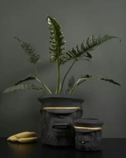 Monkey Face Pot Big, Black 9 Monkey Face Pot Big, Black -Meubel Serie Winkel garden glory monkey face pot 7