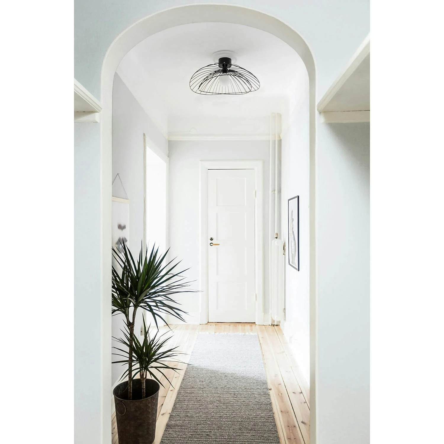 Globen Lighting Ray Wand-/Plafondlamp, Zwart 4 Globen Lighting Ray Wand-/Plafondlamp, Zwart - Afbeelding 4