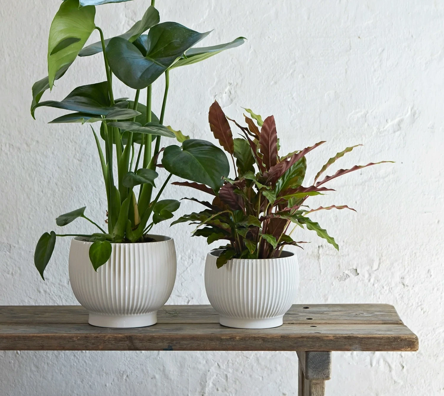 Knabstrup Keramik Buitenste Pot Gegroefd Ø16,5 Cm, Wit 2 Knabstrup Keramik Buitenste Pot Gegroefd Ø16,5 Cm, Wit - Afbeelding 2