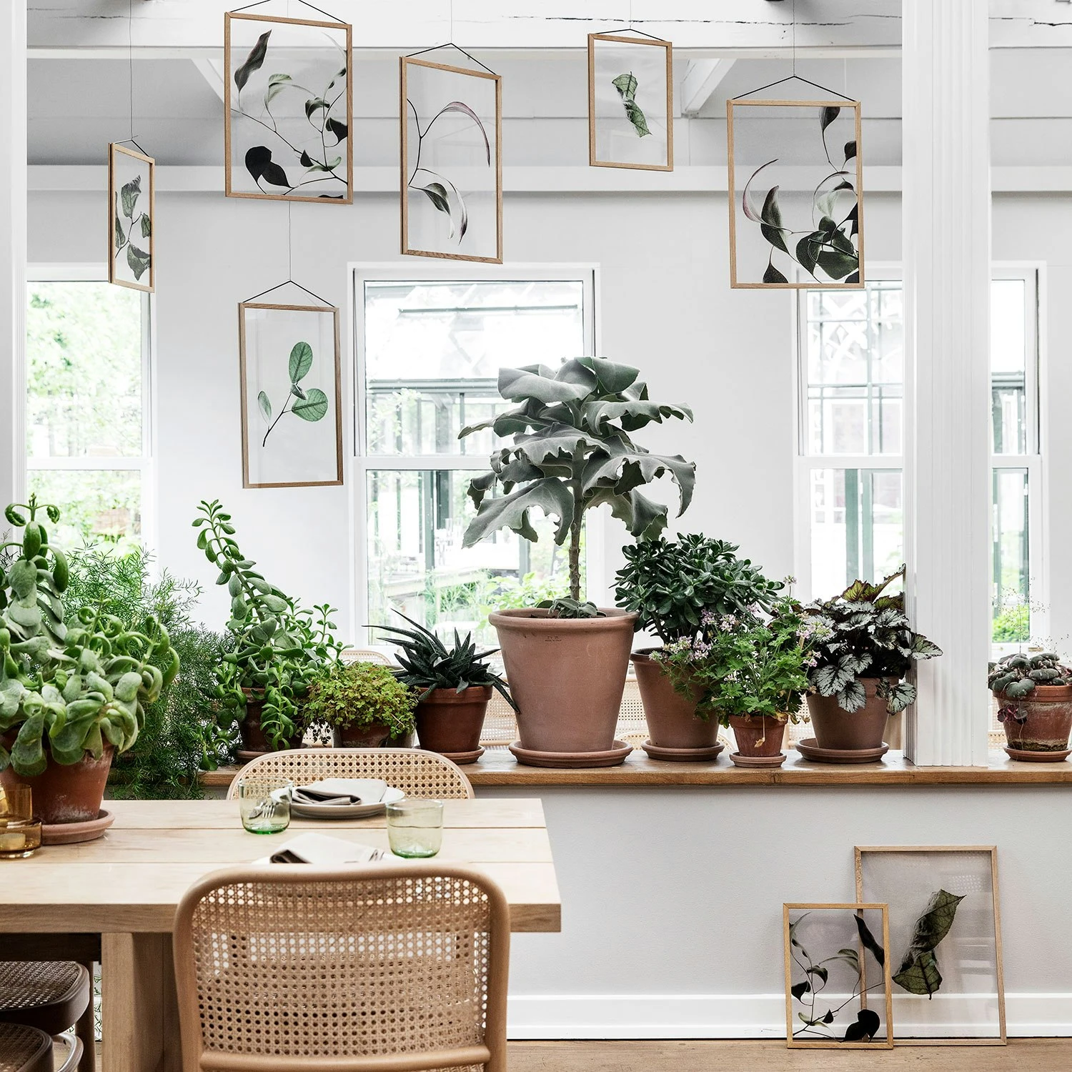 Floating Leaves 09 Poster A3 3 Floating Leaves 09 Poster A3 - Afbeelding 3