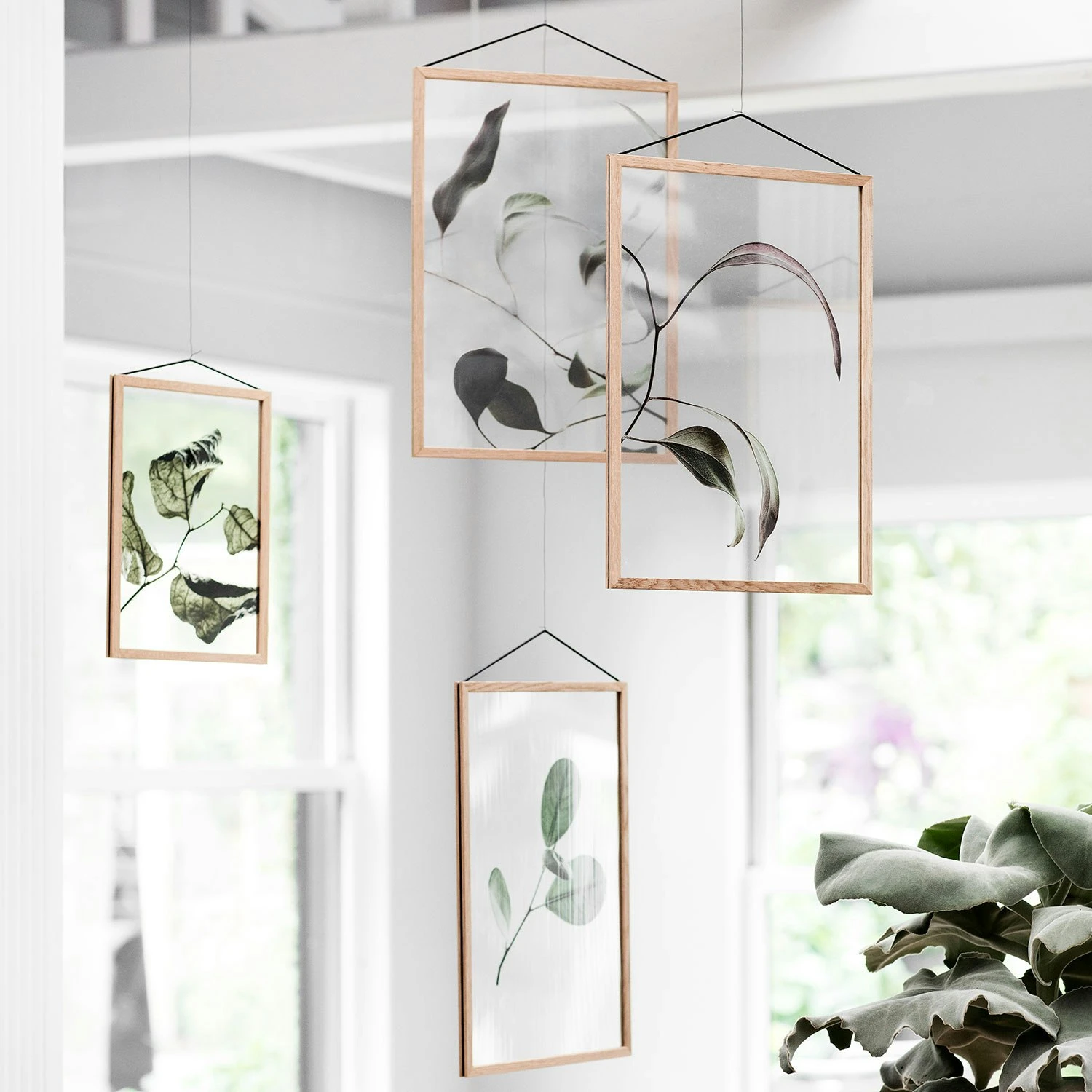 Floating Leaves 09 Poster A3 4 Floating Leaves 09 Poster A3 - Afbeelding 4