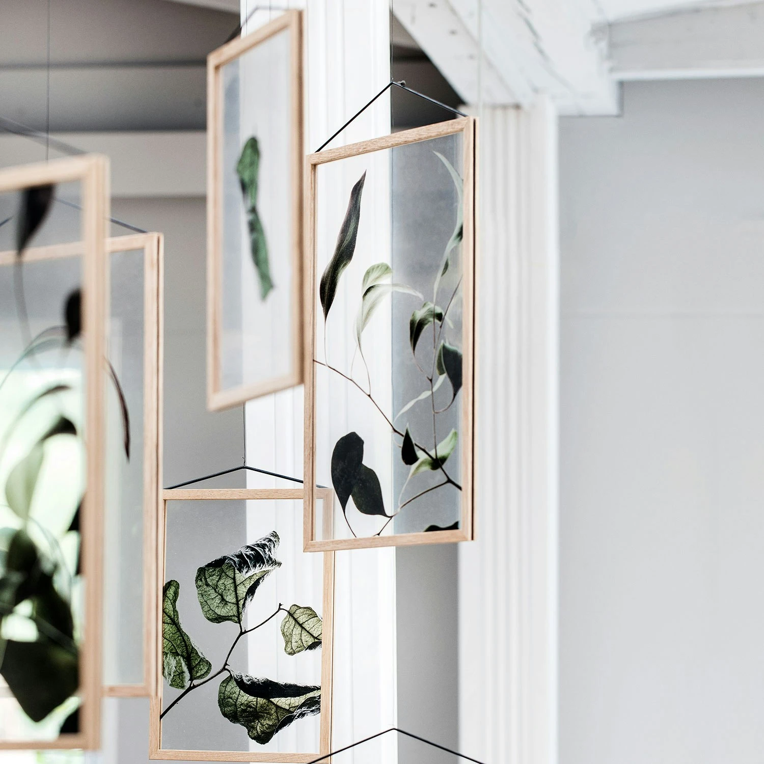 Floating Leaves 09 Poster A3 5 Floating Leaves 09 Poster A3 - Afbeelding 5